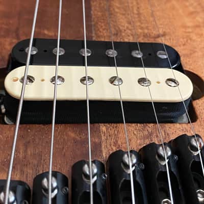 Strandberg Boden Washburn Custom Shop USA image 5