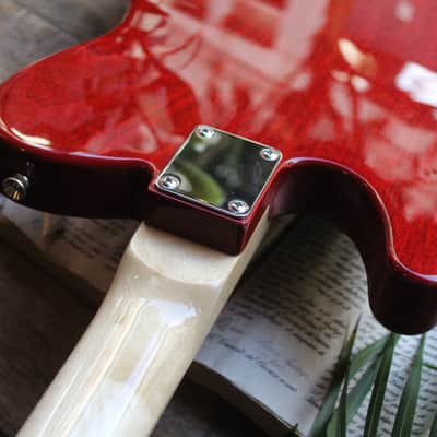 CIMA GUITARS Cima TL Nitro-Red A/A, 3, 95 KG image 12