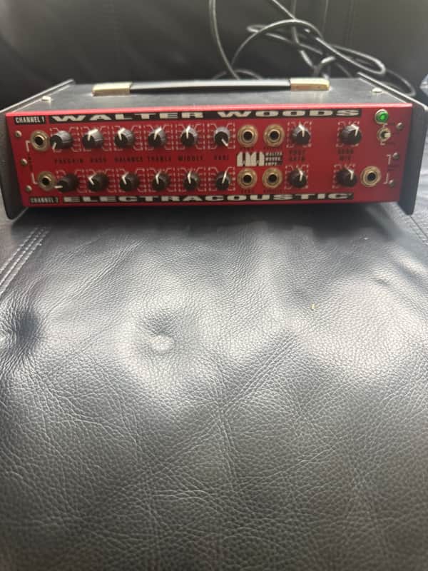 Walter Woods electric acoustic BASS amp green light image 1