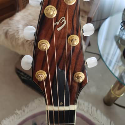 Breedlove C25/MH - Concert | Figured Mahogany & Sitka Spruce | Signed Steve Henderson image 19