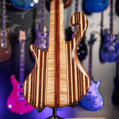 Shawn May Custom Rainbow 6-String Short Scale Bass image 11