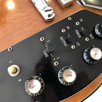 Gibson Les Paul Recording 1973 Walnut image 9