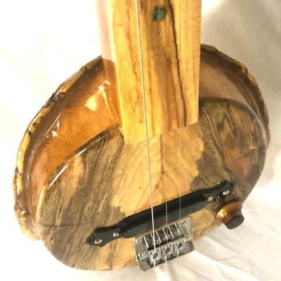 3 string Turtle shell slide guitar image 14