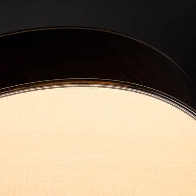 2025 - Bourgeois OMS-12C Soloist - Italian Spruce & Brazilian Rosewood image 18