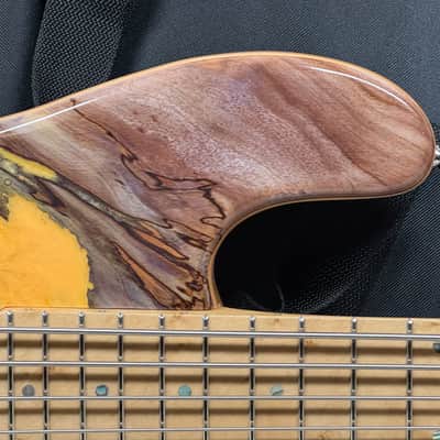 Maruszczyk Custom Jake TB 5p tb5p Thunderbird 5-string Bass with COA + Gig Bag 2025 - Living Color image 3