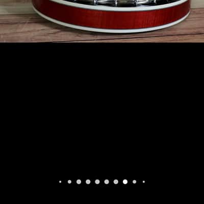 Washburn B16 5 string bluegrass banjo image 3