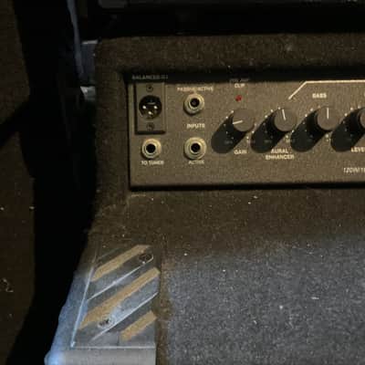 SWR Workingman's 15 Bass Combo Amp image 5