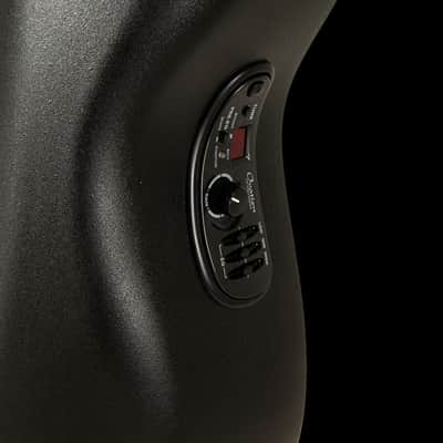 Ovation 2058TX-5-G Pro Series Elite TX 12-String Deep Contour Acoustic-Electric Guitar Textured Black image 10