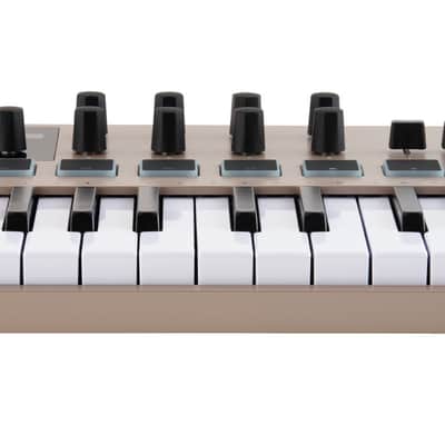 Arturia MiniLab 3 Champagne Limited Edition 25 key MIDI USB Keyboard Controller image 5