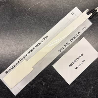 Fatar Replacement D Key (Siel & Crumar Synths) for Siel DK-600, Opera 6, DK-700, DK-80; Crumar Bit One, Bit 99