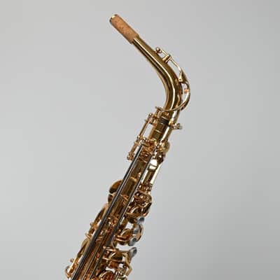 Eastman EAS850 Pro Alto Sax, Rue Saint-Georges, DS Mechanism, High F#, Gold Lacquer Finish image 4