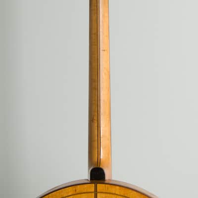 Paramount Style A Tenor Banjo (1924), ser. #4307, black hard shell case. image 9