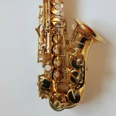 Alto Saxophone Eb Sax in Gold Lacquer with Hard Case- Intermusic Full Outfit~ image 6
