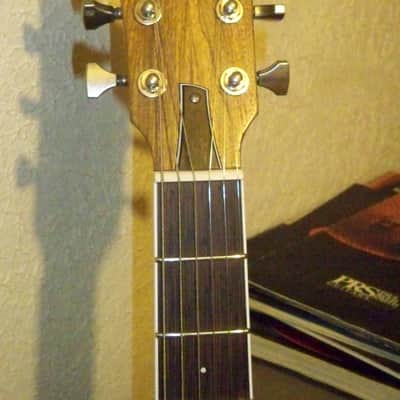 2024 USA Custom Shop Dunable Asteroid Flying V Black Limba Wenge Fretboard Hipshot 25.5 " Scale 7.6 lbs Coffin Case Hardware image 3