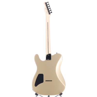 Fender Jim Root Artist Series Signature Telecaster 2026 - Present - Shoreline Gold image 6
