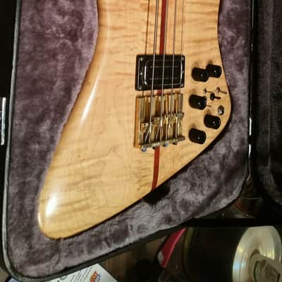 Ribbecke  Bass 1982 Vintage Custom Thunderbird Bass Very Very Rare 1 of 4 image 3