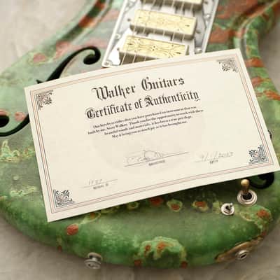 Scott Walker The Santa Cruz image 16