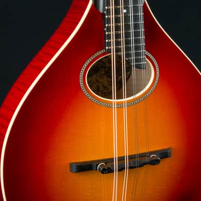 Collings MT-O Cherry Burst Gloss Top Custom Mandolin NEW image 6