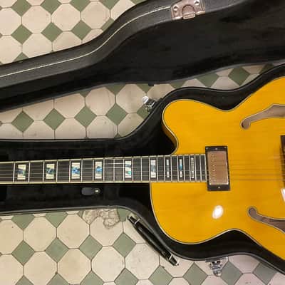 Ibanez PM2 AA Pat Metheny c/astuccio image 6