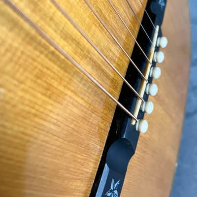 Larson Bros Stahl Style 8 Amazing! Brazilian Rosewood 1929 image 19