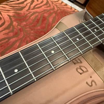 Taylor 214ce-N 2017 with OGB image 13