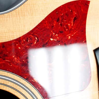 Taylor 214ce-G Grand Auditorium Acoustic-Electric Guitar Nat Gloss w/HFC! #35078 image 16