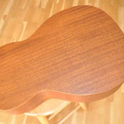 LAG VIAN-002 Vianney Signature / Limited Edition / Parlor Electro / Lâg Guitars by Maurice Dupont / 2412LT22641 image 10