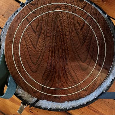 Washburn 1981 B-14 5-String Resonator Banjo B14 image 5