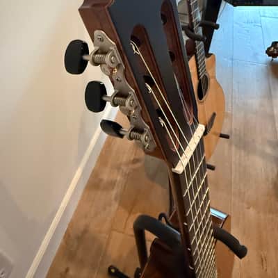 Giussani Messala 2025 - Western Red Cedar Indian Rosewood Ebony image 5