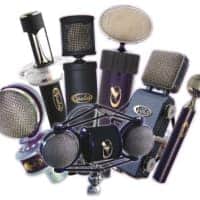 Violet Design The Flamingo Standard | Reverb