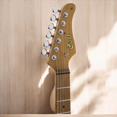 Cort G290 FAT II TBB Double Cutaway Electric Guitar – Trans Black Burst image 11