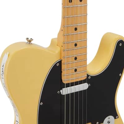 Rascal Flatts / Hardrock Fender American Special Telecaster 2014 - Butterscotch Blonde image 2