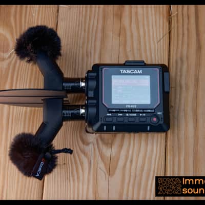 EARSIGHT The One (for Tascam FR-AV2) - Stereo field recording microphone image 2