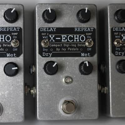 X-Echo - Ivy Pedals 2025 - Raw Silver image 3