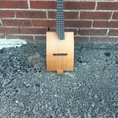 Kelly custom instruments Monolute 2018 image 5