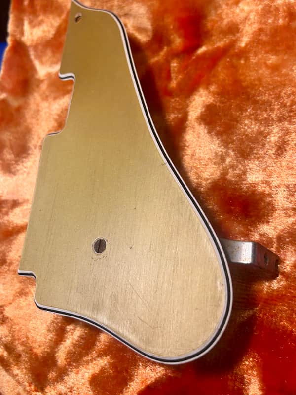 Fender Coronado 1966 - Pickguard