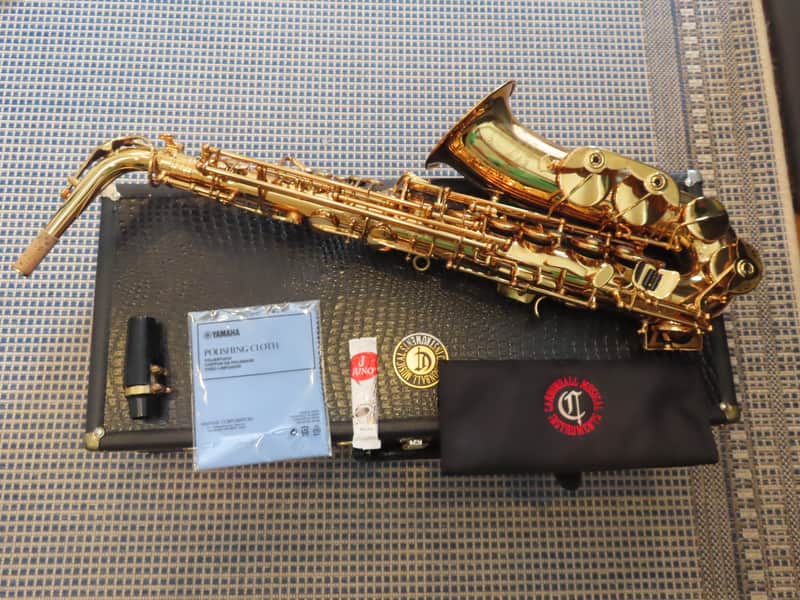 CANNONBALL SCEPTYR ALTO SAXOPHONE-STUNNING -FRESH PRO OVERHAUL, MUST SEE+ 1 Yr WTY image 1