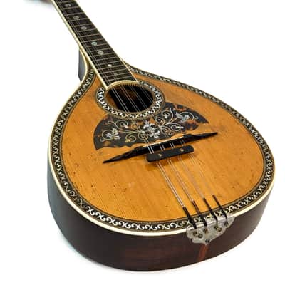 Flat-Back Mandolin Model Luxe Bruno Klemm 1890's / 1900's image 19