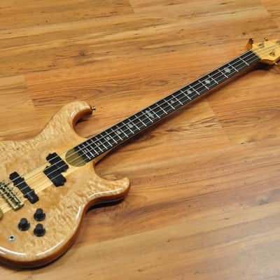 Alembic Persuader Bass Quilted Maple image 2