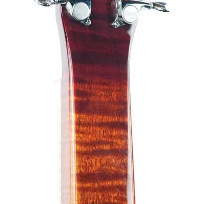 Beard Legacy E Curly Maple image 6