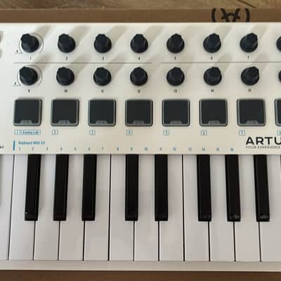 Arturia MiniLab MkII 25-Key MIDI Controller 2017 - Present - White image 2