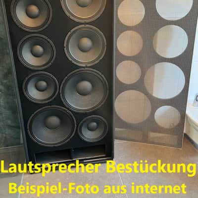 TecAmp  ( Eich ) Bad Cab, 2400W  - low-hours, with- or without Amp image 3