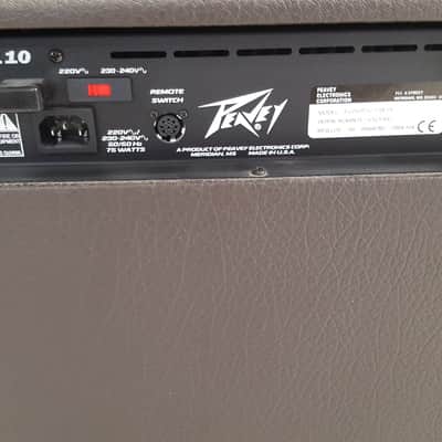 Peavey Ecoustic 110 efx 75W image 4