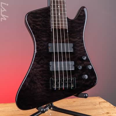 SPECTOR Rex 5 bass guitars