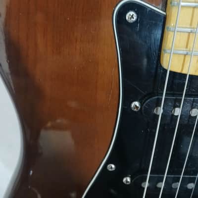 Fender Stratocaster with 3-Bolt Neck, Maple Fretboard 1973 - 1977 - Walnut (Mocha) image 4