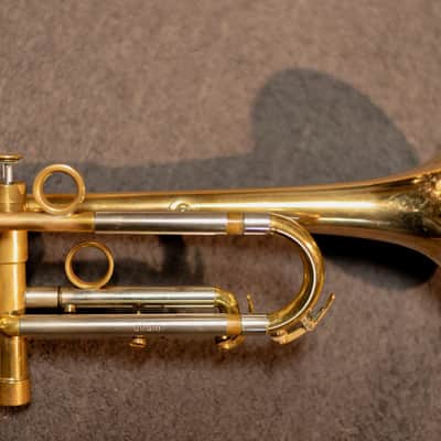 Van Laar OIRAM II 2013 - Raw Brass image 7
