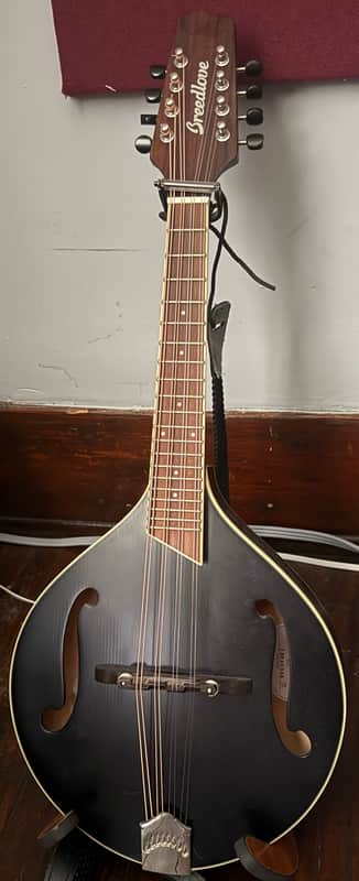 Breedlove Crossover OF A-Style Mandolin 2010s - Black w/ K&K Pickup & HSC image 1