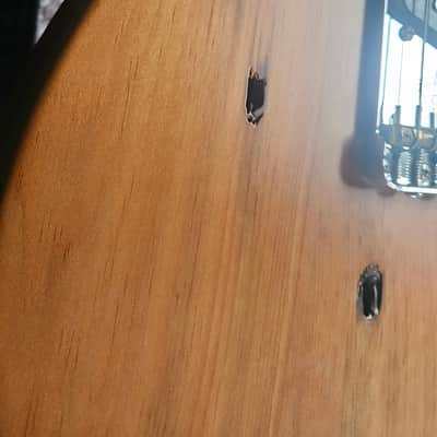 Fender Limited Edition Exotic Collection American Professional Pine Telecaster 2017 - Natural image 6