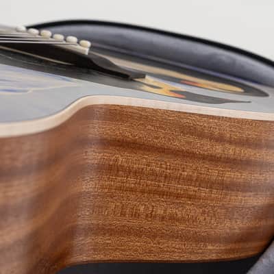 Martin 00L Biosphere IV Limited Edition Grand Concert Acoustic Guitar, Solid Spruce Top, Penguins image 14