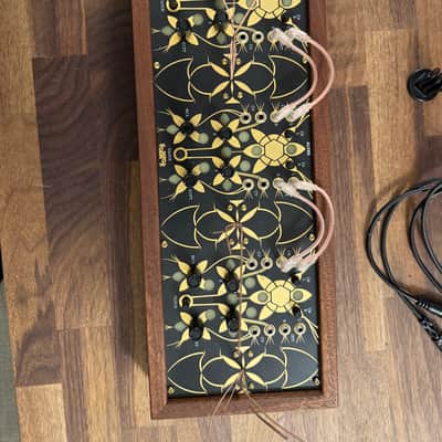 Folktek Resonant Garden Electro-Accoustic Insturment 2020 - Gold image 3